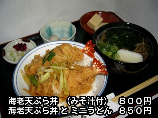 海老天ぷら丼とミニうどん（温、冷）セット投稿写真