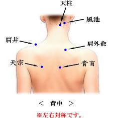 記事画像_肩こり・肩甲骨のこりの鍼灸治療