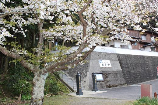 大光寺(日蓮宗)の投稿写真