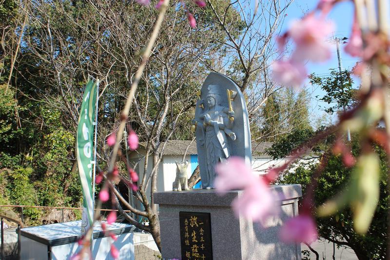 大光寺(日蓮宗)の投稿写真