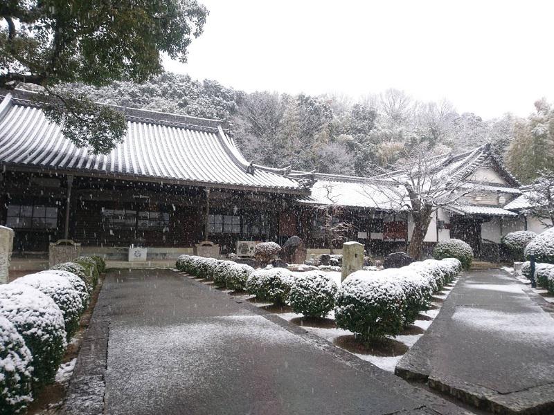 安養寺の投稿写真