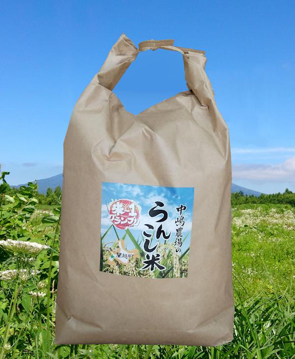 記事画像_北海道の米はうまい！その中でも蘭越町中嶋農場の米は最高の味！