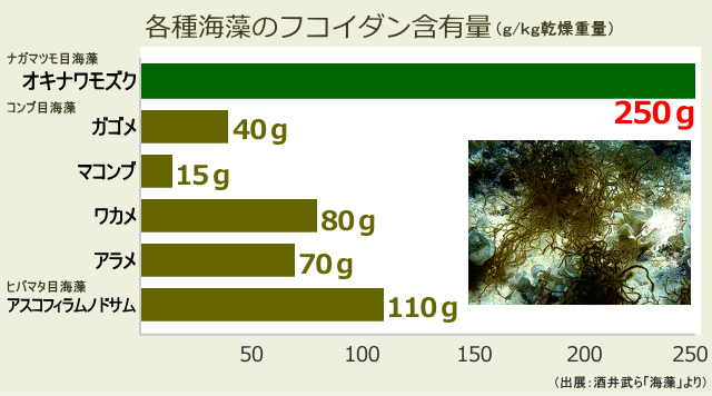 フコイダン健康堂