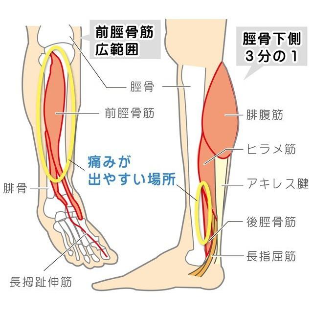 札幌しろいし整骨院