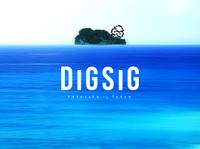 DIGSIG 画像