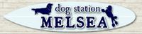 dog station MELSEA PickUp画像