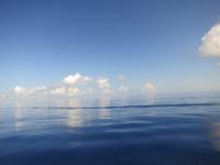 沖縄ダイビング　SUNNY　DAYSのメイン画像