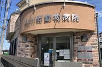氷川町動物病院のメイン画像