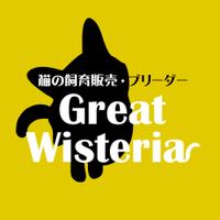 猫ブリーダー GreatWisteriaのメイン画像