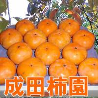 成田柿園のメイン画像