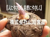 株式会社山田食品のメイン画像