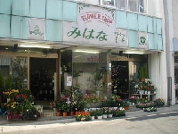 (有) 美 花 みはな生花店のメイン画像