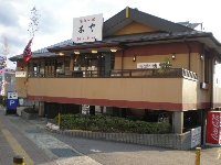 木や 画像