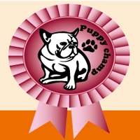 PuppyChampのメイン画像