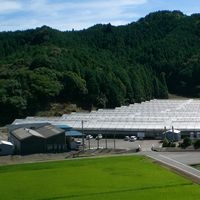 ローズガーデン徳島/有限会社 岡松バラ園のメイン画像