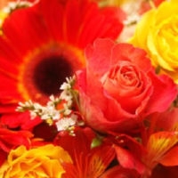 フラワーショップ花一期〜ハナイチゴ〜 画像