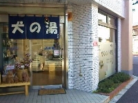 犬の湯ハチ 画像