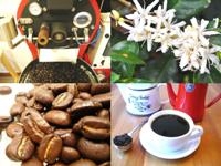 コーヒー豆通販LotusKitchenのメイン画像
