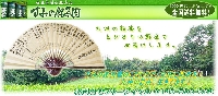 すみの銘茶園 画像