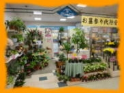 北フジのお花屋さん 画像