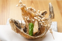 季節料理 うさ美。 画像