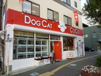 DOGCAT COCO 画像