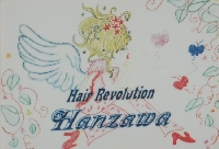Hanzawa 画像