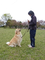 Dog Training KNineのメイン画像
