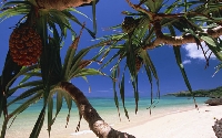 湘南 BEACH BREAK 英会話のメイン画像